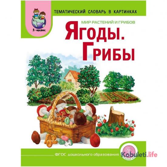 Ягоды. Грибы. Тематический словарь в картинках. Мир растений и грибов.